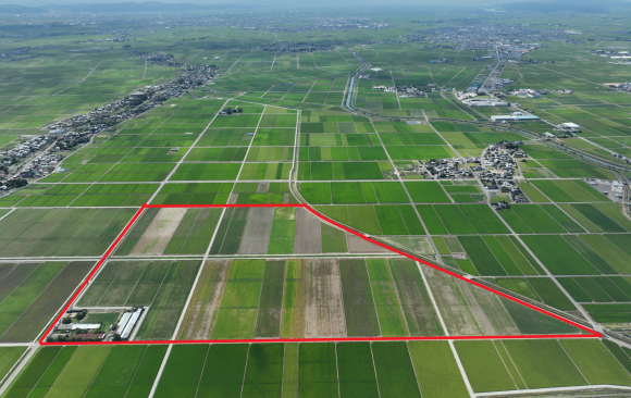 馬堀地区　区画整理第10次工事